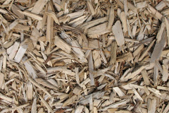 biomass boilers Rinnigill